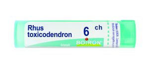 RHUS TOXICOD*9CH 80GR 4G BO
