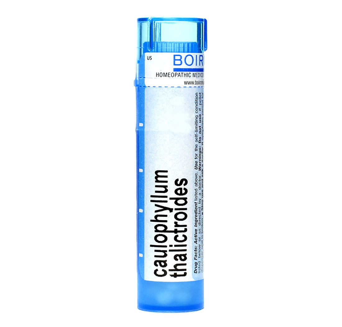 CAULOPHYLLUM THALICT*7CH BO