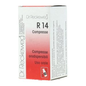 R14 GTT 22ML IMO