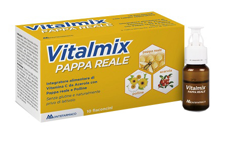 VITALMIX PAPPA REALE 10FLAC 10ML