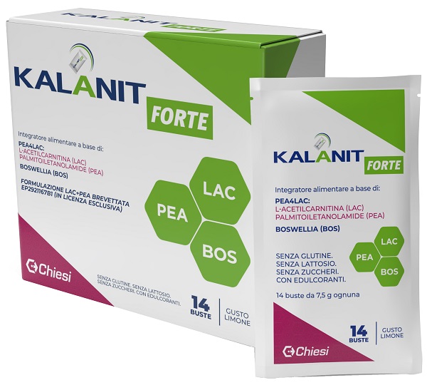 KALANIT FORTE 14BUST