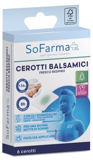 CEROTTO ACQUASTOP 10X15 4P SF+