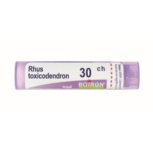 RHUS TOX BOI*30CH GR 4G