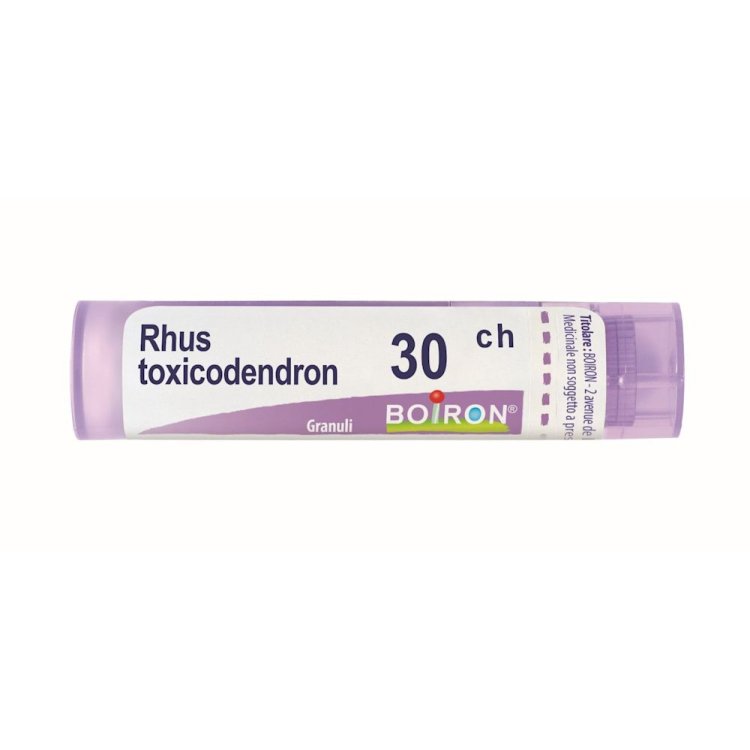RHUS TOX BOI*30CH GR 4G