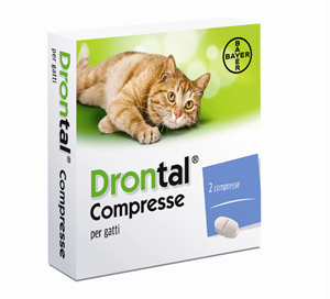 DRONTAL-GATTO 2CPR