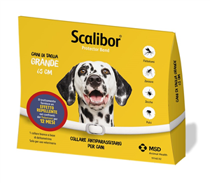 SCALIBOR PR.BAND 65CM BI VET