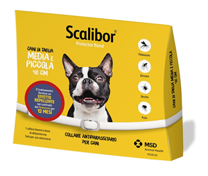 SCALIBOR PR.BAND 48CM BI VET