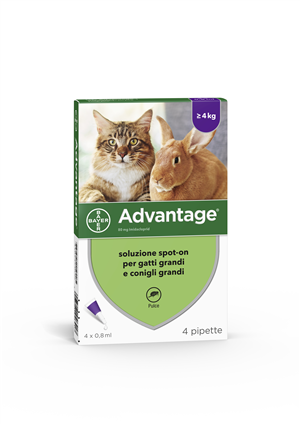 ADVANTAGE*4PIP 0,8ML GATTI SUP4K