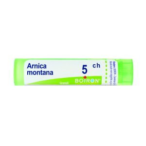 ARNICA 5CH GR 4G