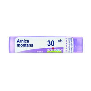 ARNICA MONTANA 30CH GR BO