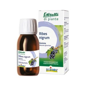 RIBES NIGRUM GEMME 60ML MG BO