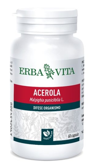 ACEROLA 60CPS 550MG EBV