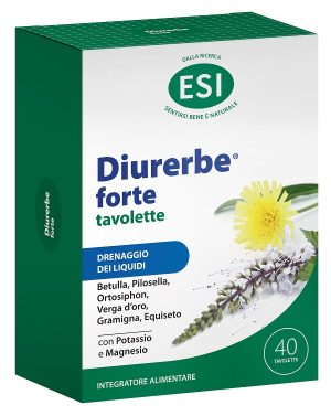 DIURERBE FORTE 40 TAV