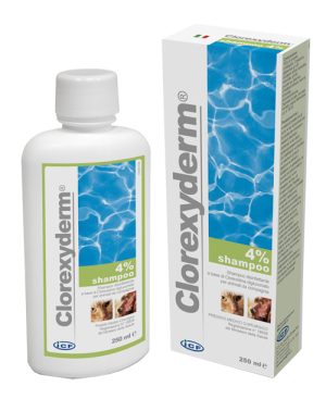 CLOREXYDERM SH 4%% 250ML