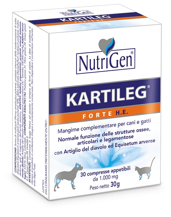 KARTILEG FORTE HE 60 TAV.