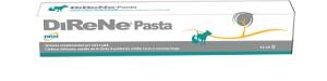 DIRENE PASTA 15ML