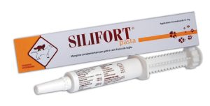 SILIFORT PASTA OS SIRINGA 30G
