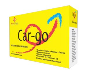 CAR-GO 20BUST 4G