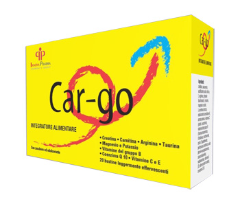 CAR-GO 20BUST 4G