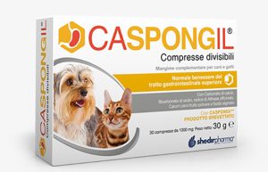 CASPONGIL 30CPR DIVIS VET