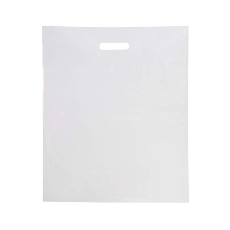 ALVITA SACCH BIOD 23X40 1000PZ