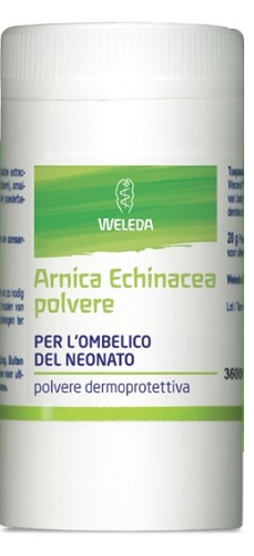 ARNICA ECHINACEA POLVERE 20G WE