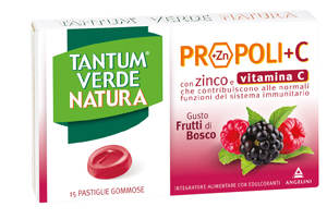 TANTUM VERDE NATURA PAST FR/BOSC