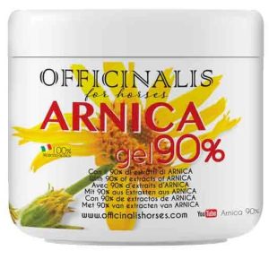 ARNICA GEL 90%% 500ML VET