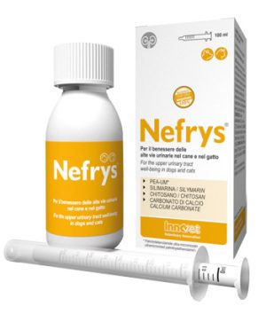 NEFRYS NEW 100 100ML C/SIR DOS
