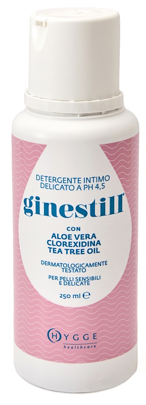 GINESTILL DETERGENTE LIQ 250ML