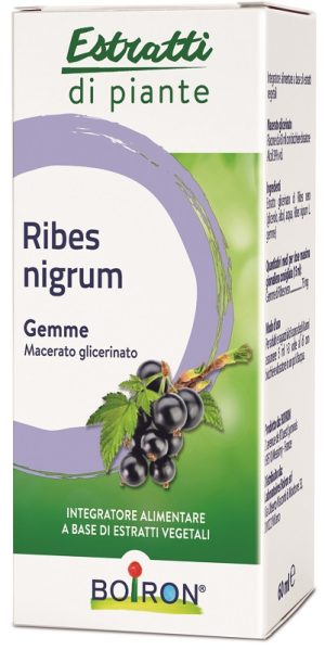 RIBES NIGRUM MG 60ML INT BO