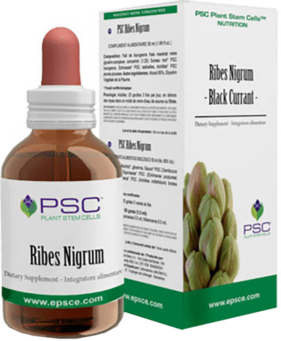 PSC RIBES NIGRUM GTT 15ML FORZA