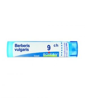 BERBERIS VULGARIS*9CH 80GR 4G BO