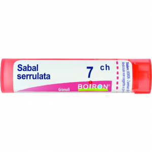 SABAL SERRULATA 7CH GR BO