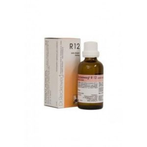 R12 GTT 22ML IMO