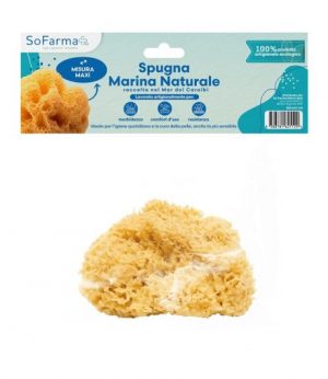 SPUGNA MARINA NATURALE MAXI SF+