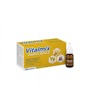 vitalmix pappa reale